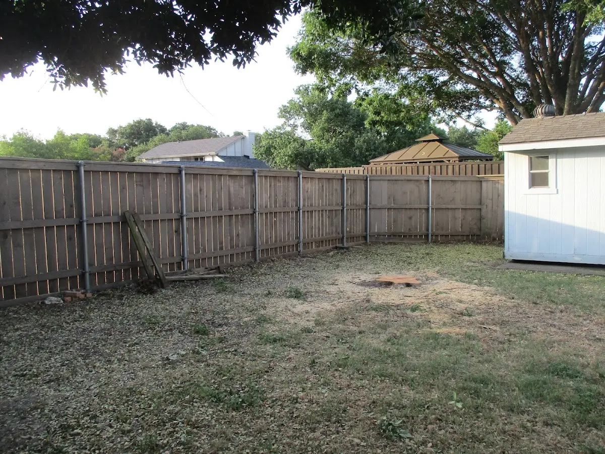 Cleared yard after professional tree removal in Wading River